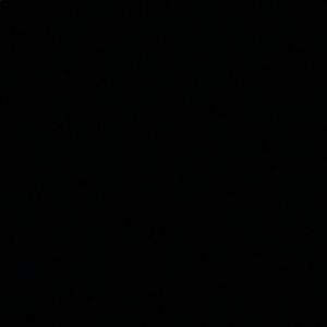 Meet your Posher, Cassidy